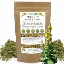 Chá de ervas orgânico MULLEIN folhas e flores cortadas (Verbascum Thapsus) grau A 100g comprar usado  Enviando para Brazil