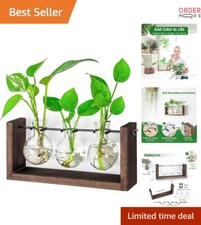 Wall hanging planter for sale  Chula Vista