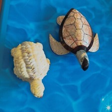 Coppia vecchie tartarughe usato  Asola