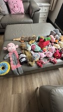 wainwright dog for sale  SUTTON COLDFIELD
