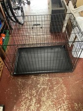 Dog cat pet for sale  NORTHAMPTON