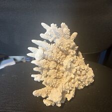Aquarium coral reef for sale  Goodyear