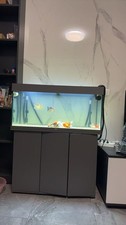 Acquario 180litri 1metro usato  Roma