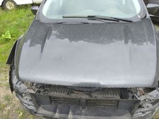 Ford escape hood for sale  Cooperstown