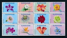 107432 suriname 2015 d'occasion  Expédié en Belgium