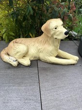 labrador hunde gebraucht kaufen labrador hunde gebraucht kaufen  Arnsberg