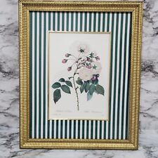 Vintage framed botanical for sale  Allentown