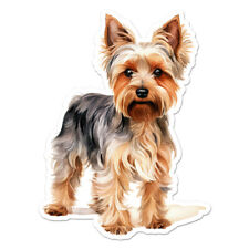 Yorkie yorkshire terrier for sale  USA