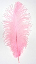Light pink ostrich for sale  Venice