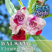 Balsam seeds seeds for sale  Meridian