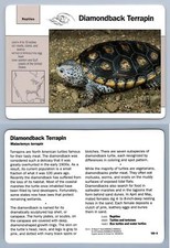 Diamondback terrapin 109.9 for sale  SLEAFORD