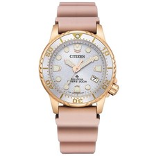 Relógio feminino Citizen Promaster Eco-Drive EO2023-00A prata não usado na caixa comprar usado  Enviando para Brazil