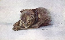 Künstler schlafender hund gebraucht kaufen  Berlin