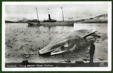 Steamer Kong Harald & Whale, desembarcou em Spitzbergen, Svalbard. RP Norway c1915. comprar usado  Enviando para Brazil