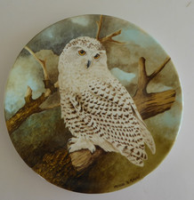 Snowy owl coalport for sale  UK