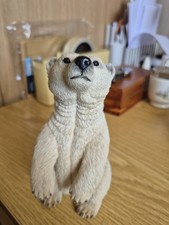 country artists polar bear for sale country artists polar bear for sale DROITWICH