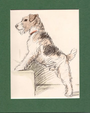 Lucy dawson wire for sale  SPALDING