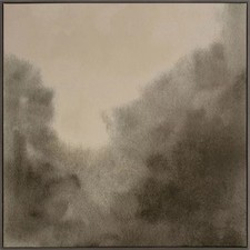 X30 blurry treetops for sale  USA