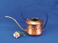 Vintage kupfer gießkanne gebraucht kaufen  Bergen