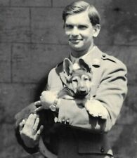 Cartão postal fotográfico da Segunda Guerra Mundial belo soldado pastor alemão cachorro alsaciano 1945, usado comprar usado  Enviando para Brazil