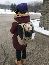 Pet carrier backpack for sale  Cary