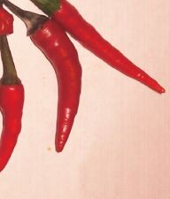 Thai chili pflanzen gebraucht kaufen Thai chili pflanzen gebraucht kaufen  Kaiserslautern