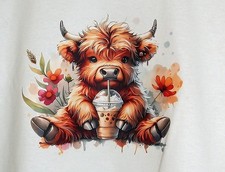 New highland cow for sale New highland cow for sale  LLANTWIT MAJOR