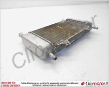 Radiatore radiator original usato  Stazzema