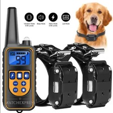 Collare elettronico cani usato  Frattaminore