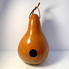 Large gourd birdhouse for sale  Selden