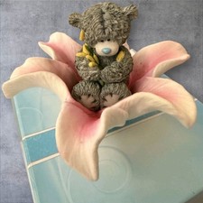 blue nose friends blossom for sale blue nose friends blossom for sale SOUTHAMPTON