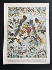 Planche originale ancienne d'occasion Planche originale ancienne d'occasion  Loriol-sur-Drôme