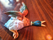 flying mallard ducks for sale flying mallard ducks for sale DUNDEE