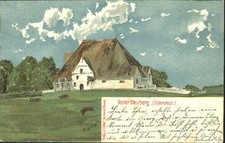 Witzwort roter hauberg gebraucht kaufen  Deutschland