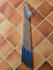 Ferri golf mizuno usato  Terre del Reno
