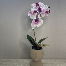 Lady face planter for sale  Mead