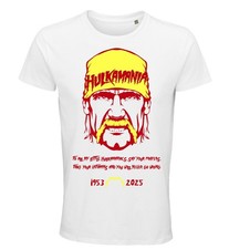 Shirt rip hulk usato  Trapani