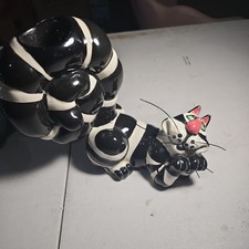 Swak clancy cat for sale  Bakersfield