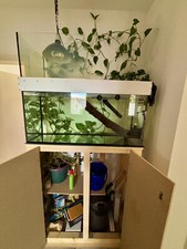 Schildkröten aquarium komplet gebraucht kaufen  Handorf