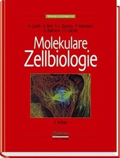 Molekulare zellbiologie. spekt usato  Spedire a Italy