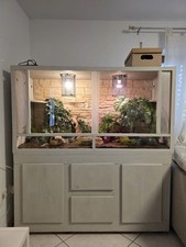 Terrarium inkl . gebraucht kaufen Terrarium inkl . gebraucht kaufen  Biberach an der Riß
