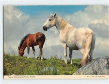 Postcard famous connemara for sale  Almond