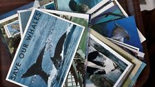 Postcards water wildlife for sale  NORTHAMPTON