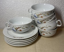 Colditz porzellan ddr gebraucht kaufen  Breitenbrunn/Erzgeb.