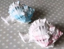 Plaster cast seashells for sale  MANCHESTER