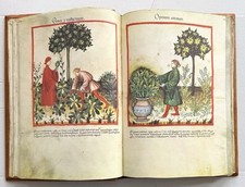 Tacuinum sanitatis medicina gebraucht kaufen  Lüchow