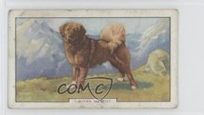 1938 gallaher dogs for sale  Auburn