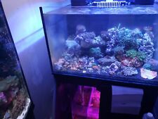 Gallon sca rimless for sale  Brooklyn