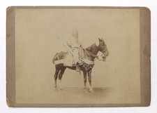 Fotografia albumina cavaliere usato  Vimodrone