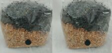 One mushroom grow for sale  Pauma Valley